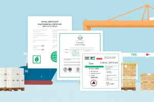 Phytosanitary Certificate vs Certificate of Origin vs Fumigation Certificate: A Practical Guide for Exporters and Importers