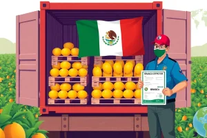 Country Regulation Spotlight: Phytosanitary Requirements for Exporting Mangoes from Mexico